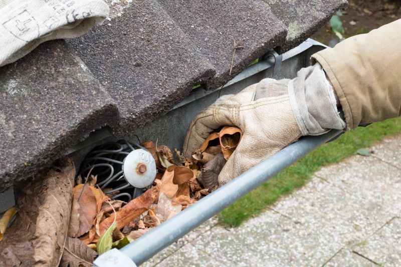 Gutter System Protection