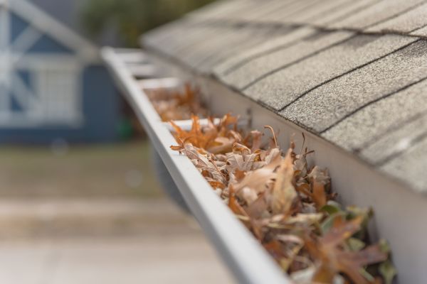 Leaf Barrier Installation in Elmhurst